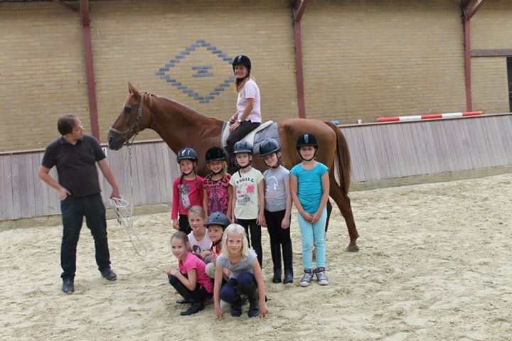 Ponykamp 2013