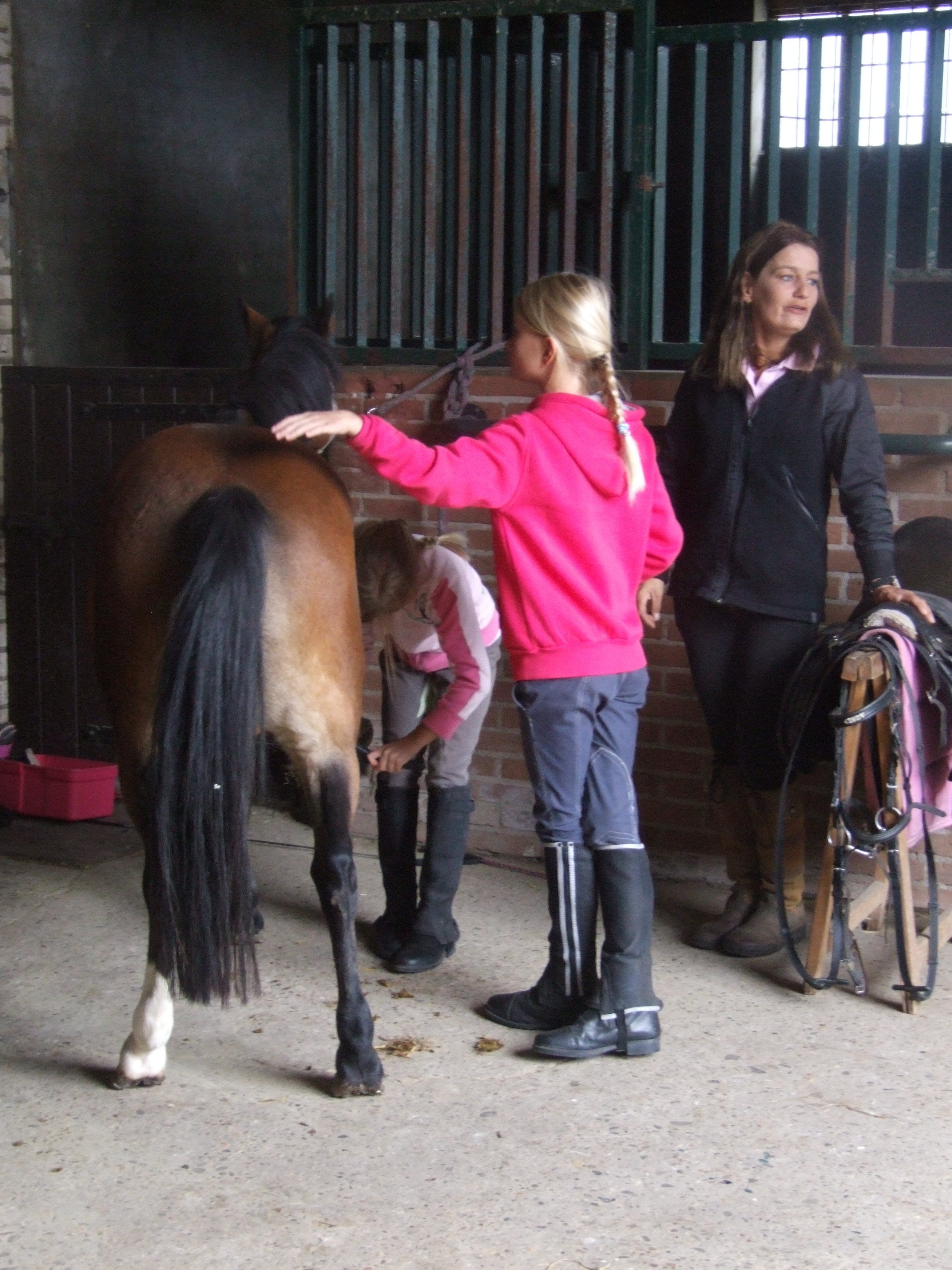 'Open-dag'Ponygeluk-Mireille