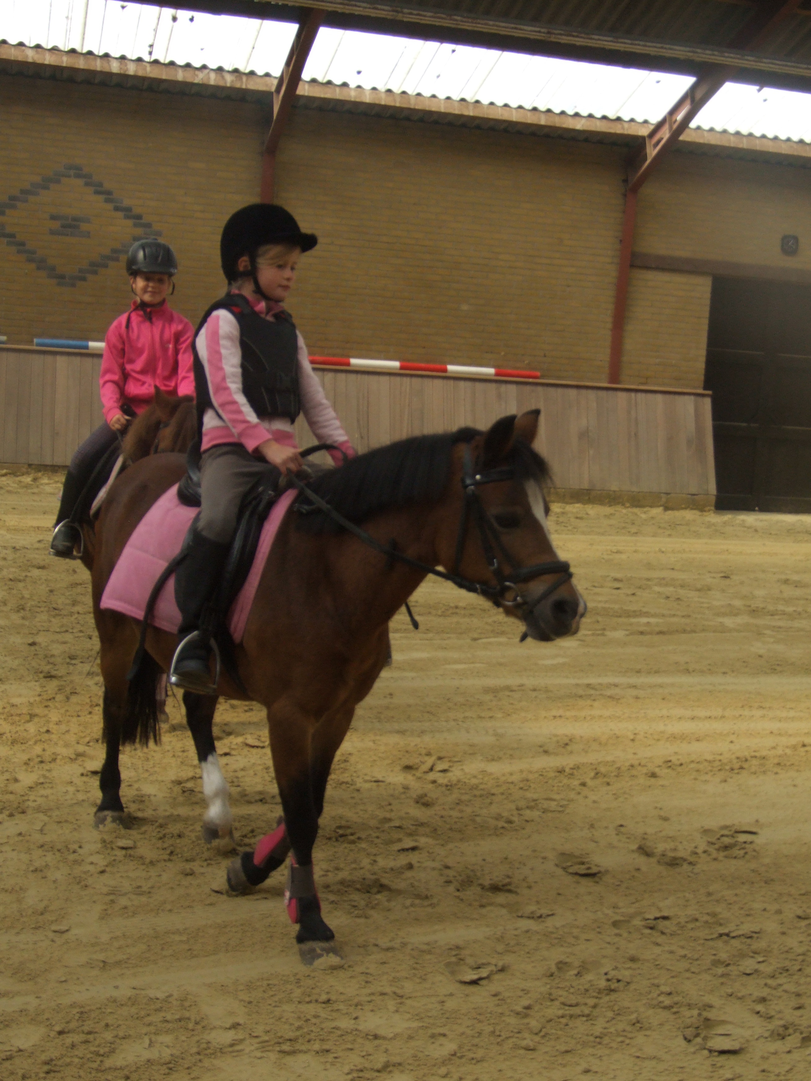 Demonstratie 'pony les'