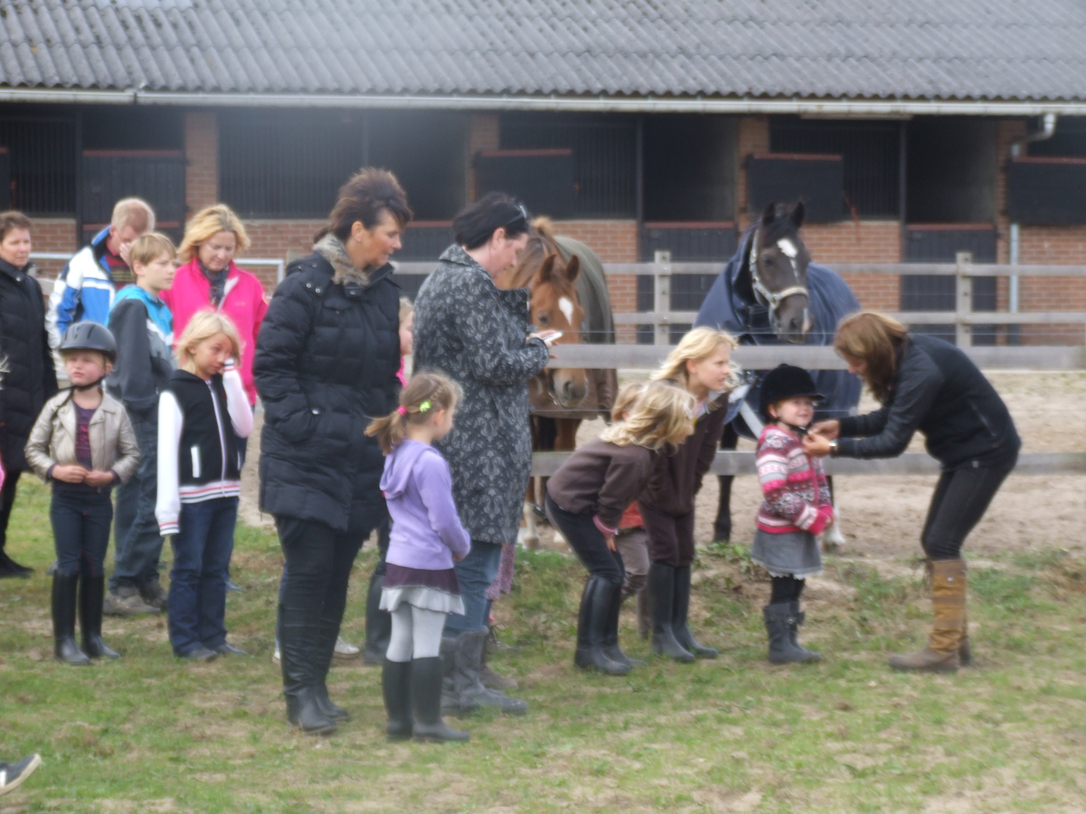 Opendag ponyrijden