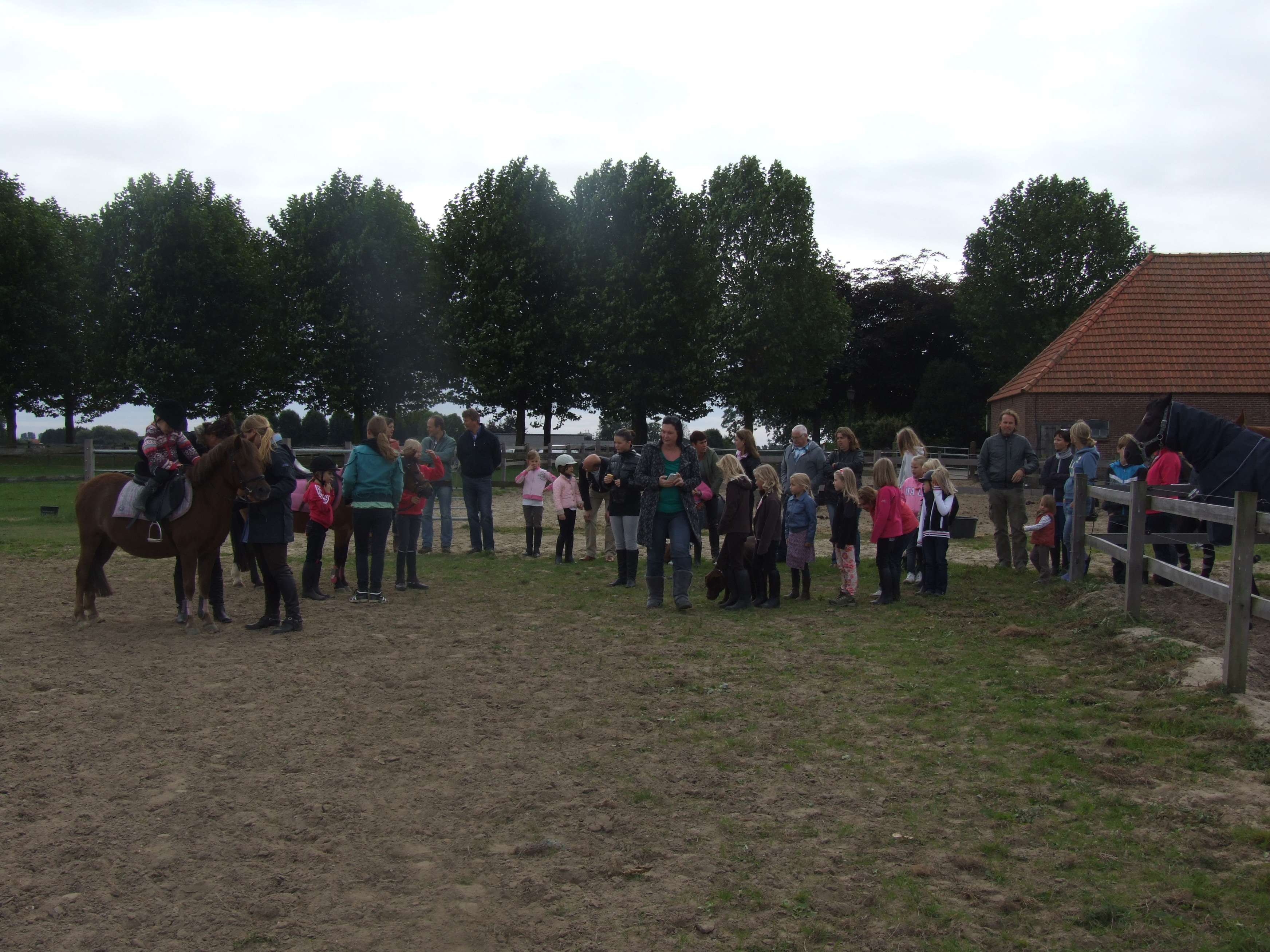 Belangstelling tijdens het gratis ponyrijden